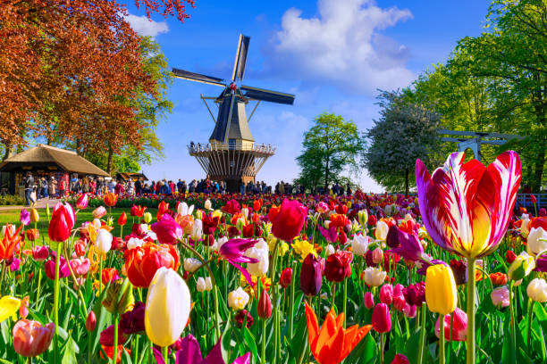 Keukenhof