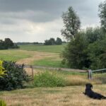 Uitzicht vanuit de hooiberghut